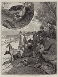 Coursing at Cleveland, Yorkshire